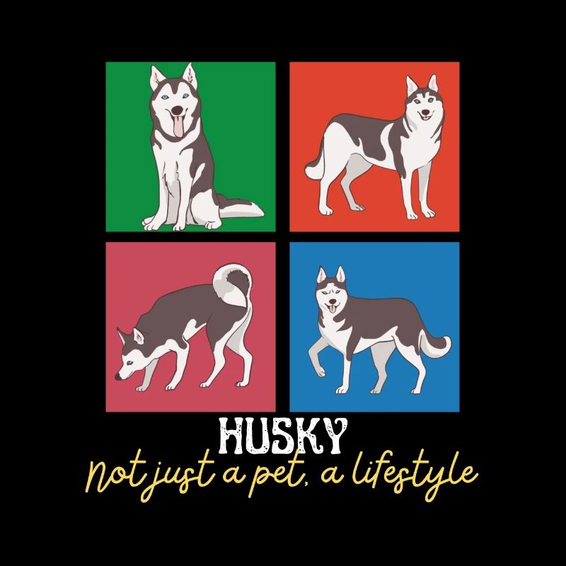 Nicht nur ein Haustier Ein Lebensstil Husky Sibirische Huskies