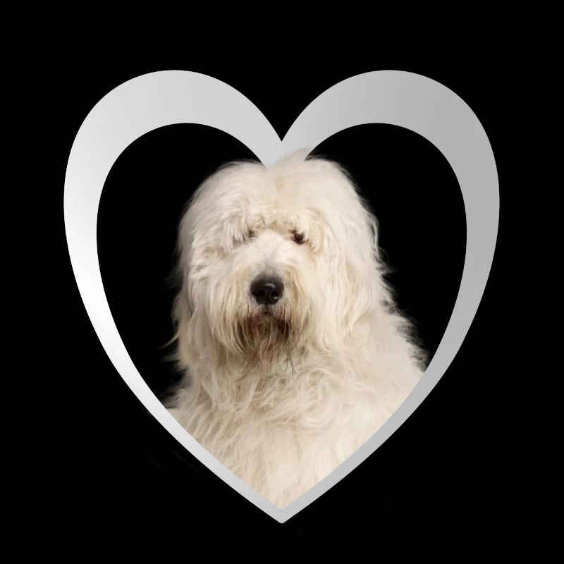 Bobtail Heart - J’aime Bobtail