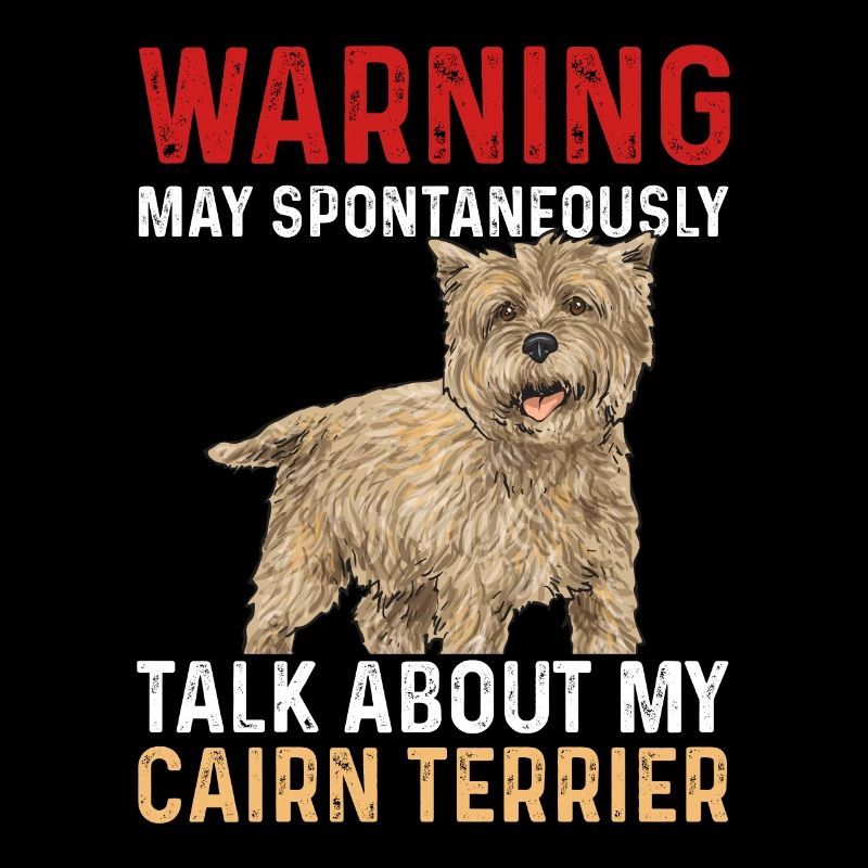 Cairn Terrier Hund