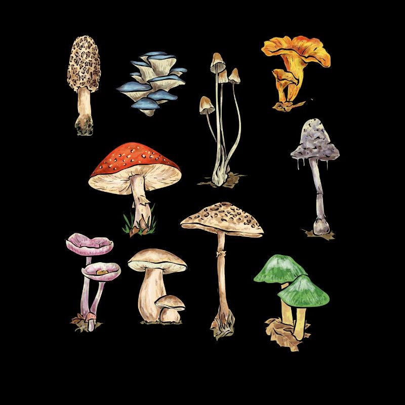 Cueillette de champignons Cueillette de champignons Cueillette de champignons