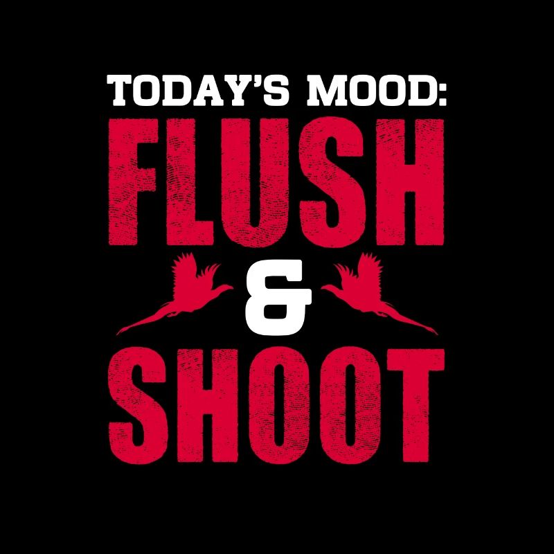 Today's mood flush and shoot Pheasant
