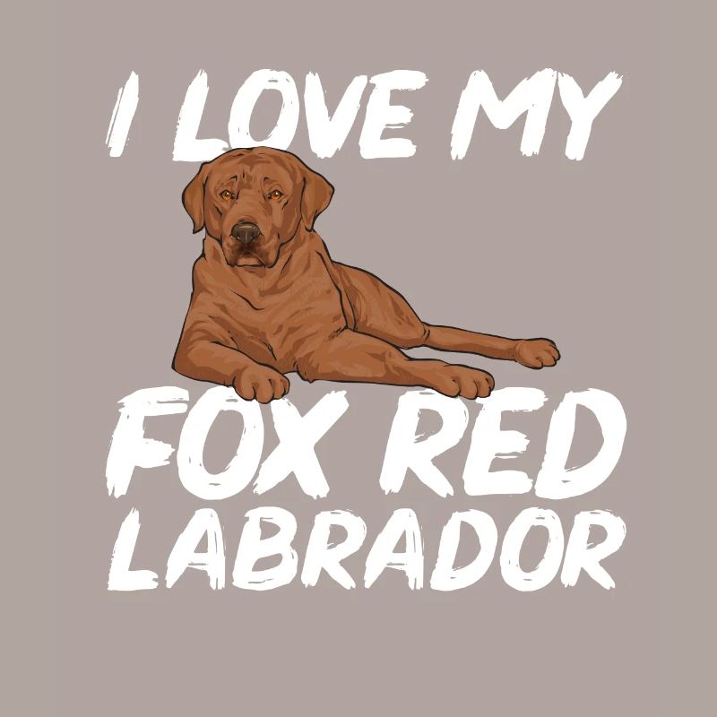 Foxred Labrador Fox Red Labrador Retriever