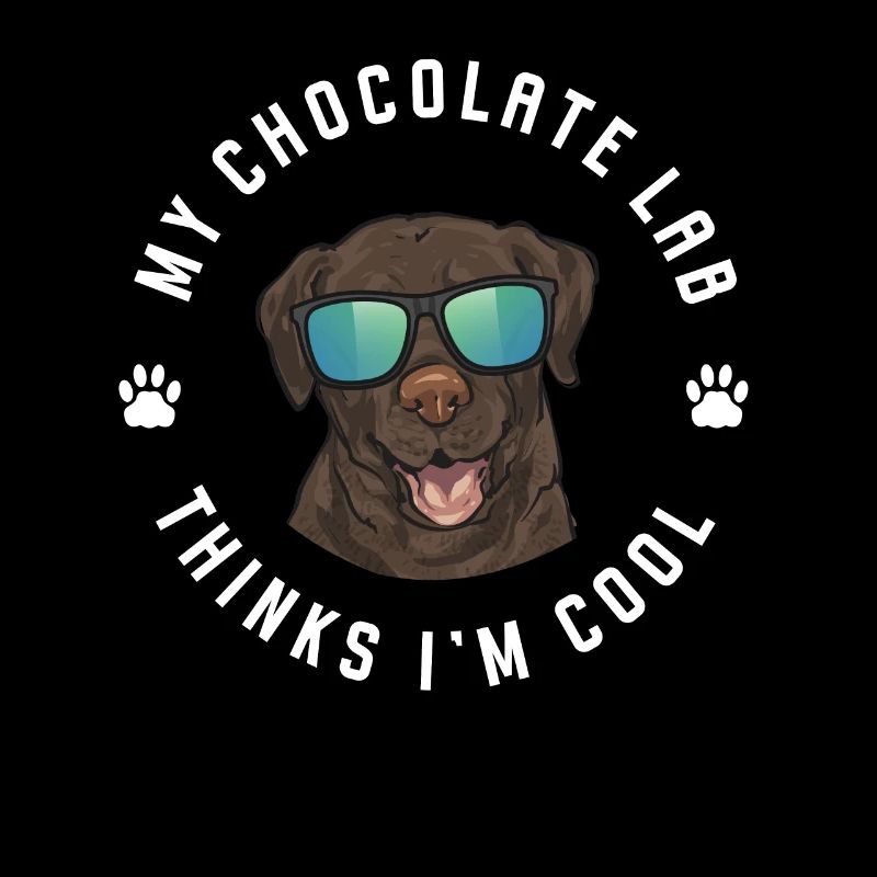 Chien Labrador Retriever chocolat