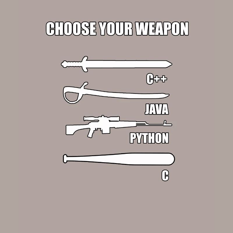 Funny developer IT theme for computer scientist