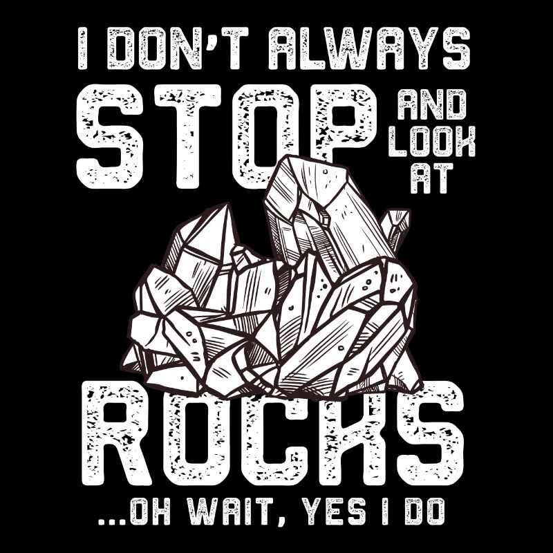 I Don't Always Stop And Look At Rocks Oh Wait Yes