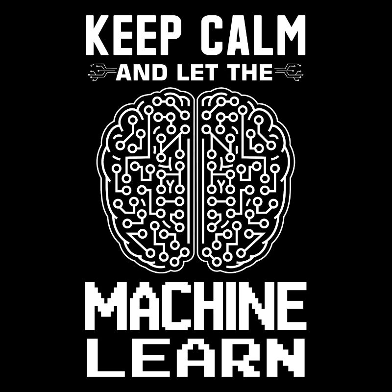 Algorithmes d’apprentissage automatique Analyste de données IA
