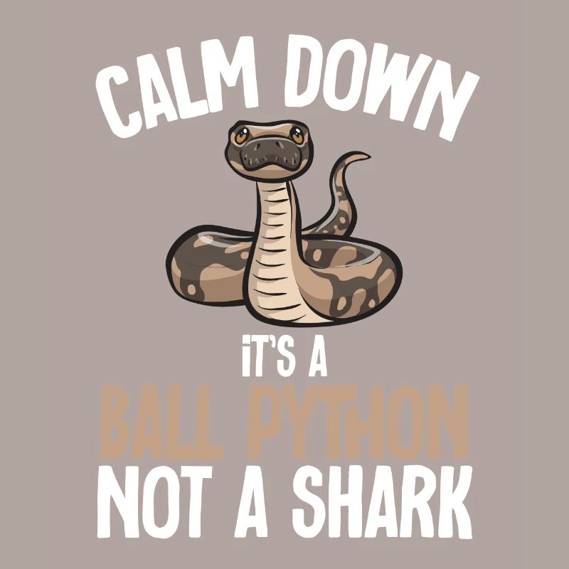 Ball Python Schlange Königspython