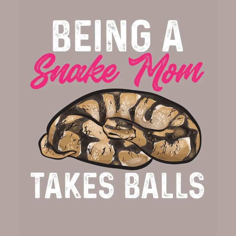 Ball Python Schlange Königspython
