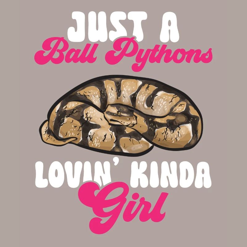 Ball Python Schlange Königspython