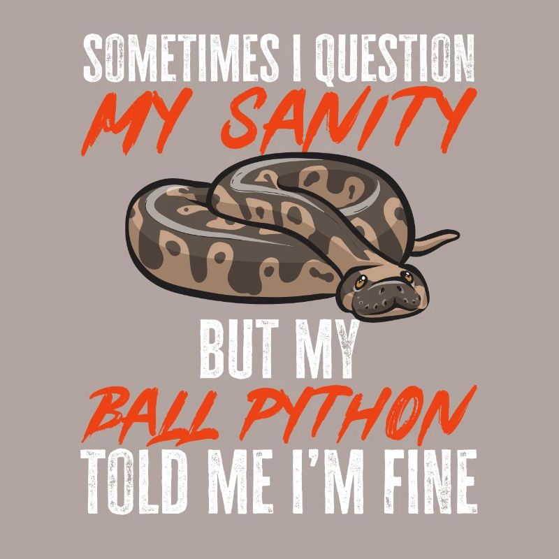 Ball Python Schlange Königspython