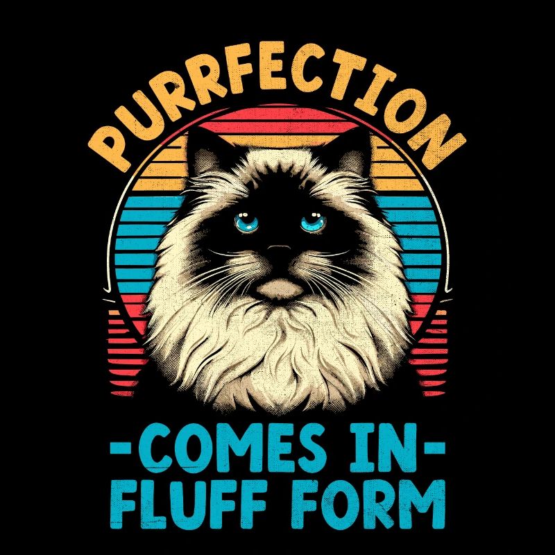 Purrfection se présente sous forme de plume Ragdoll Ragdolls C