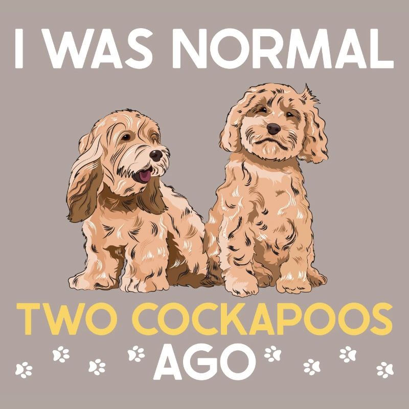 Cockapoo Dog