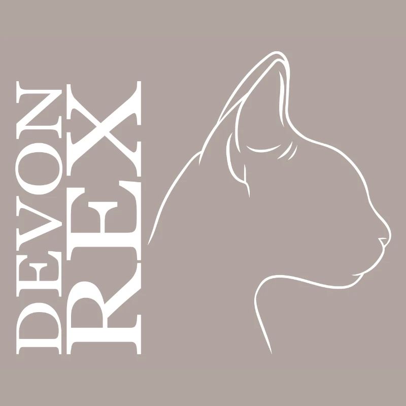 Devon Rex Profil Chat Chat Wilsigns
