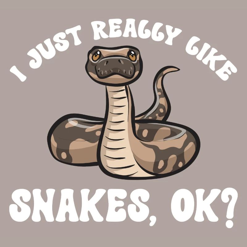 Ball Python Schlange Königspython