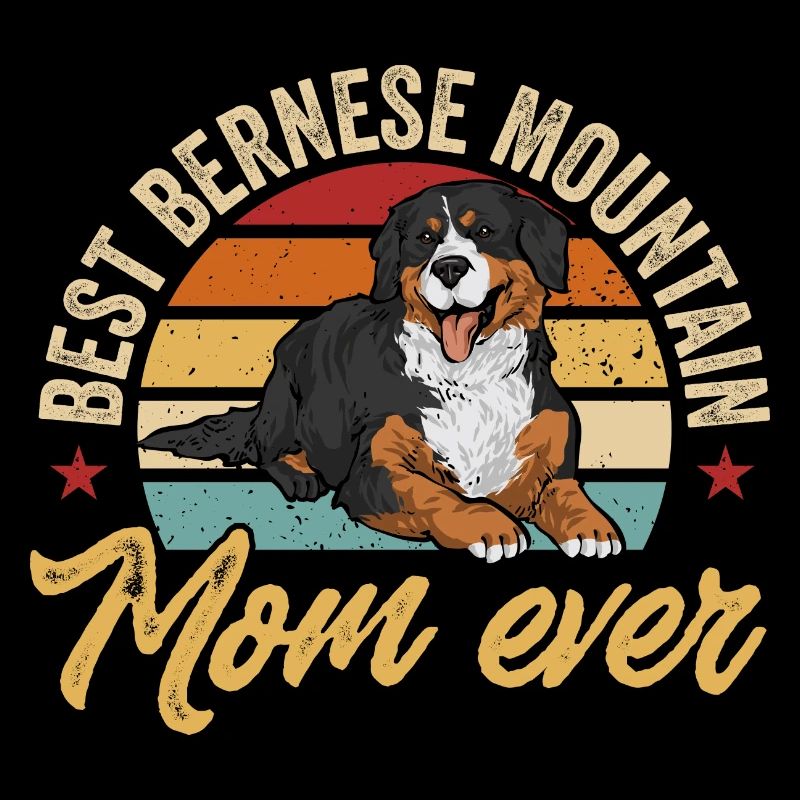 Bouvier bernois