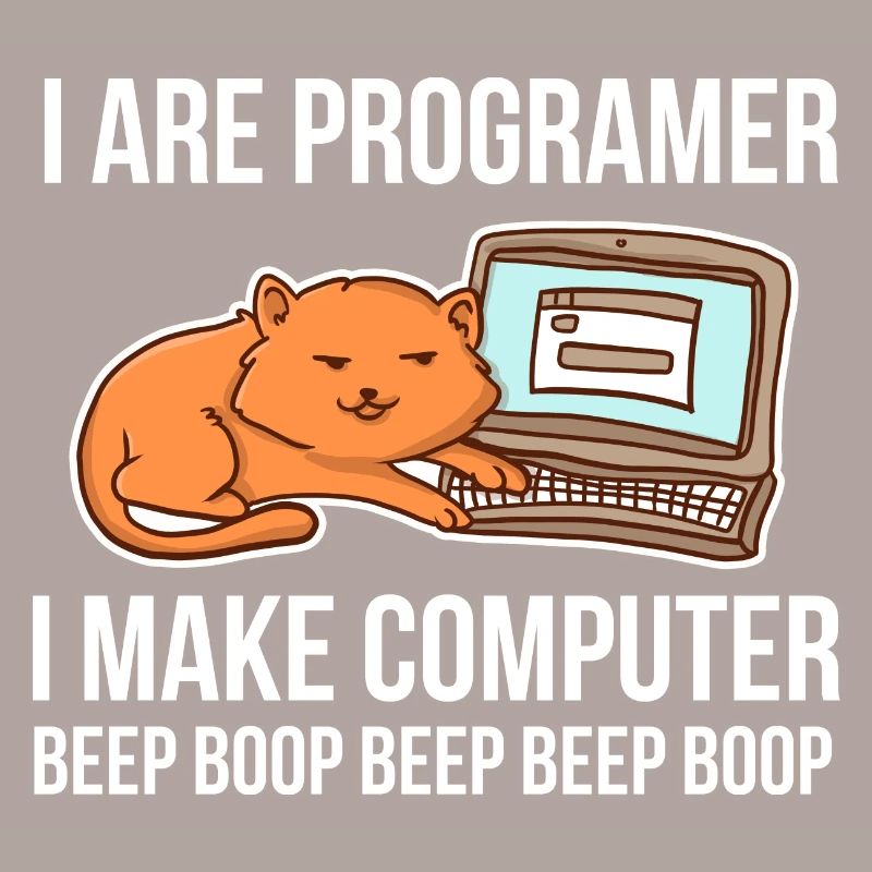 Programmierer-Chat-Humor für Coder und