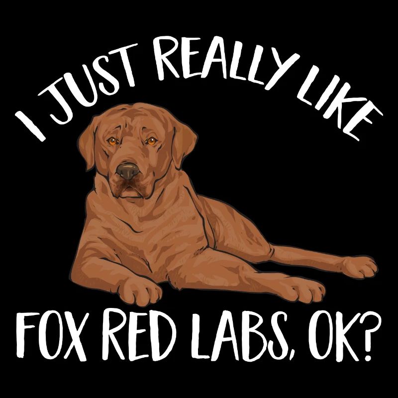 Foxred Labrador Fuchsroter Labrador Retriever