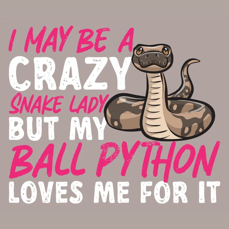 Ball Python Schlange Königspython