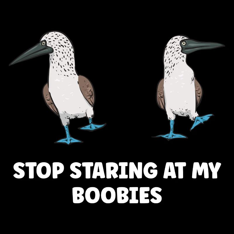 Blaufußtölpel Blue-footed Booby Seevogel