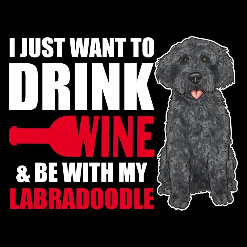 Labradoodle Hund