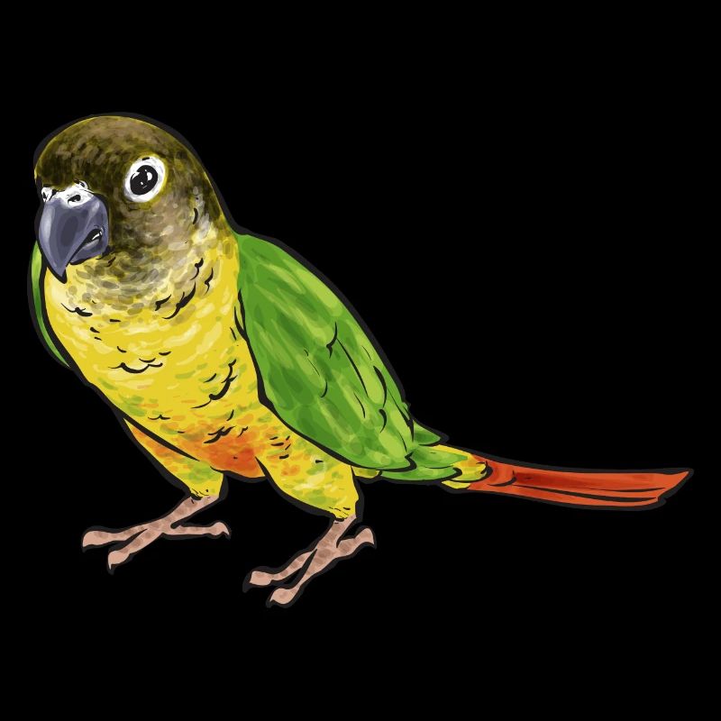 Molinasittich Papagei Vogel Sittich