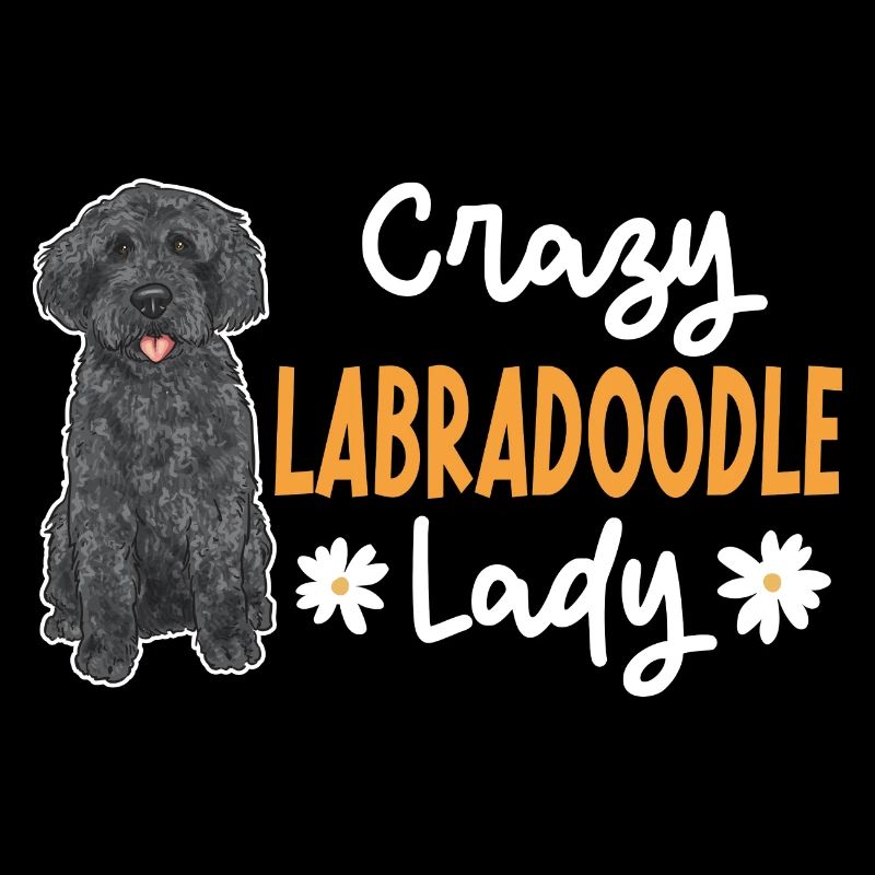 Labradoodle Hund