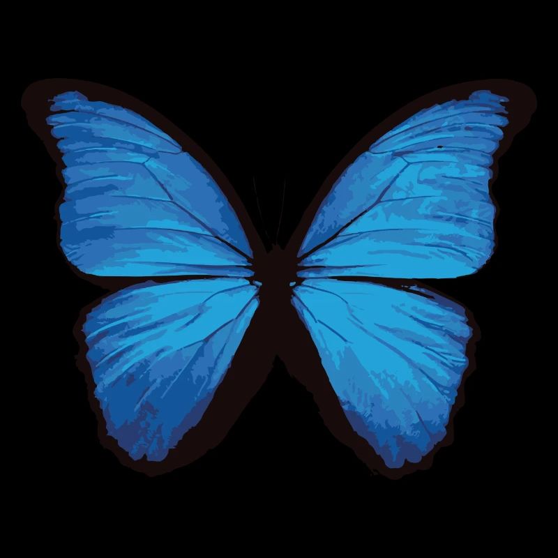 Papillon - bleu