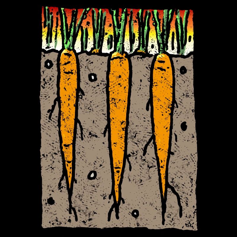 Carottes