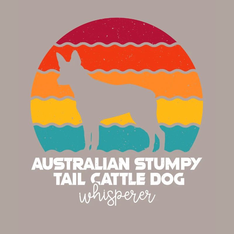 Australian Stumpy Tail Cattle Dog