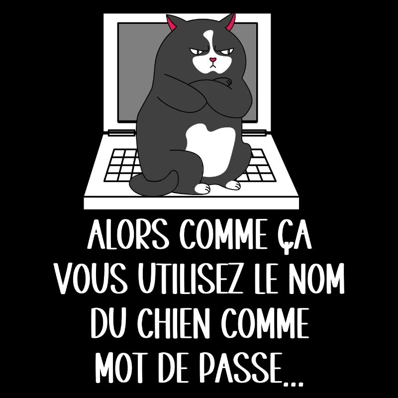 chat jaloux