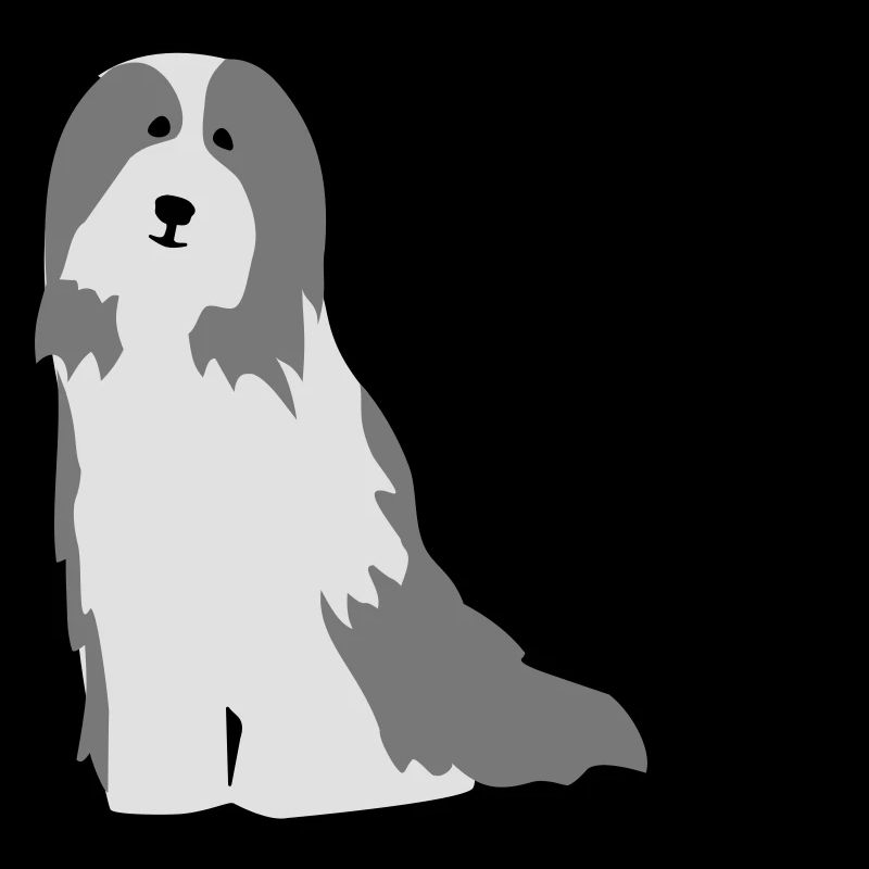 Bearded Collie
