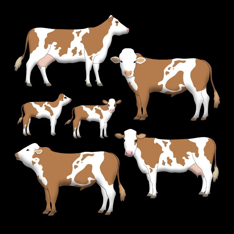 Sélection de bovins Simmental