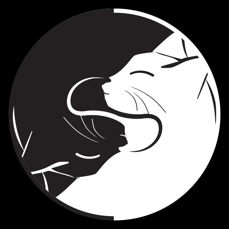 Yin Yang Katze