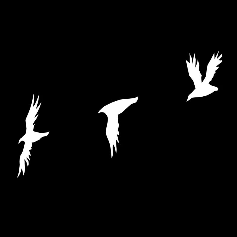 Birds white