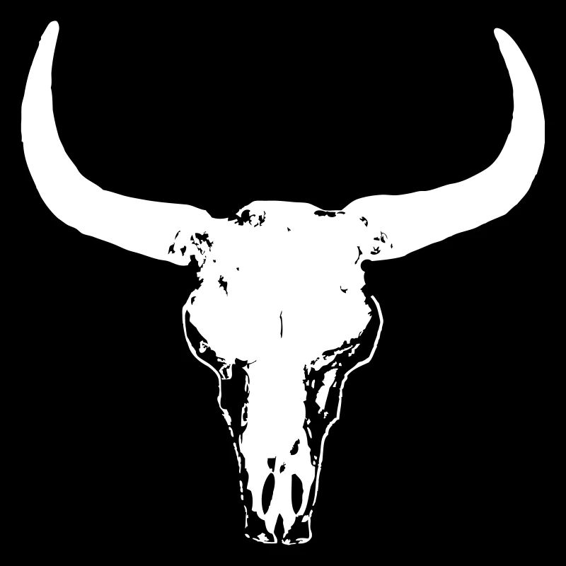 Buffalo Skull