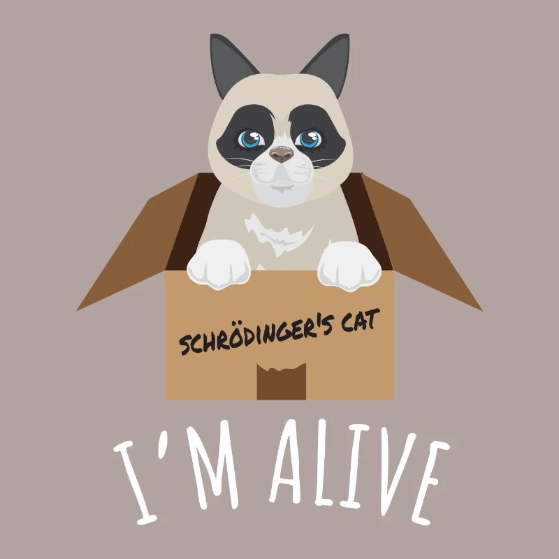 Idée de cadeau pour le chat de Schroedlinger