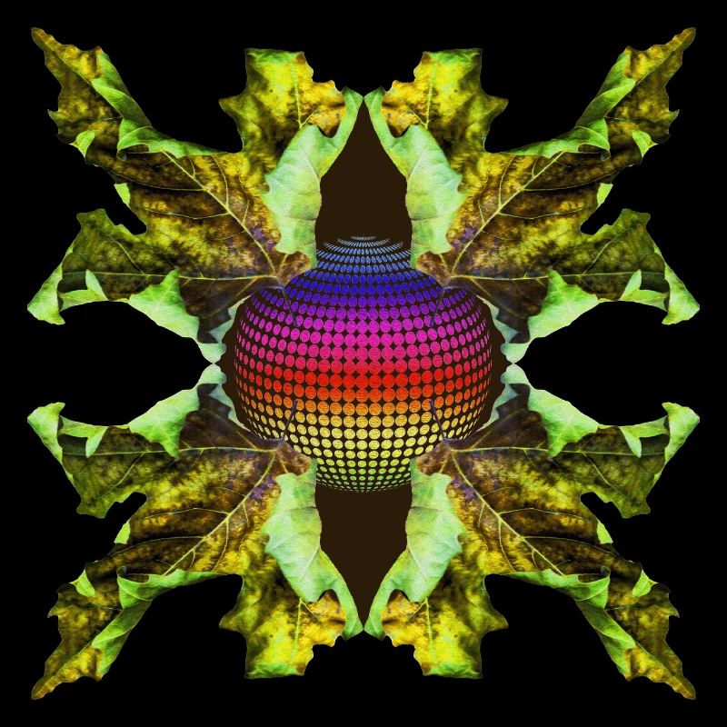 Leaf