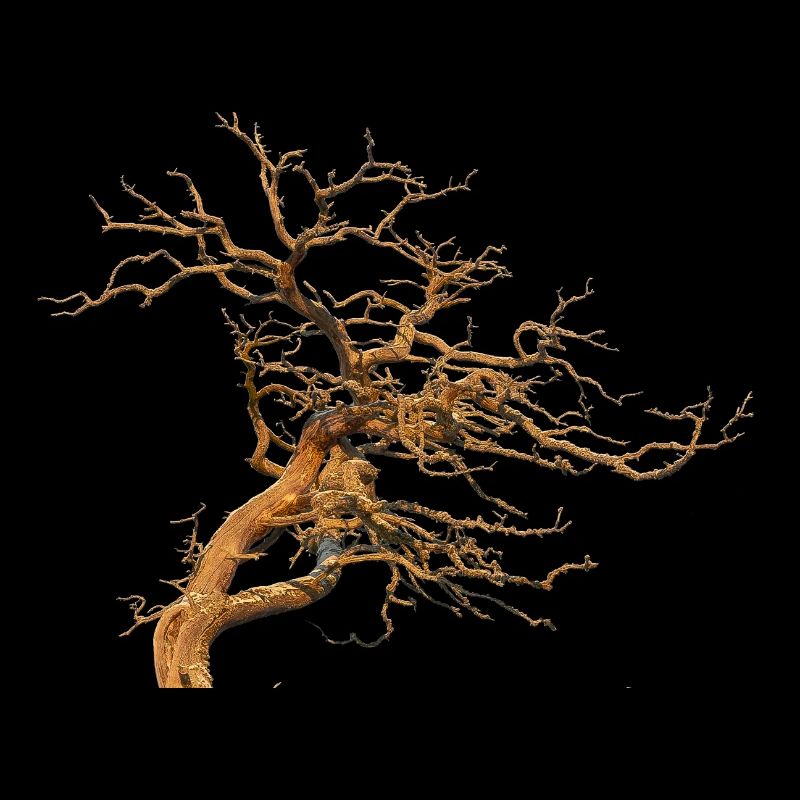 Arbre