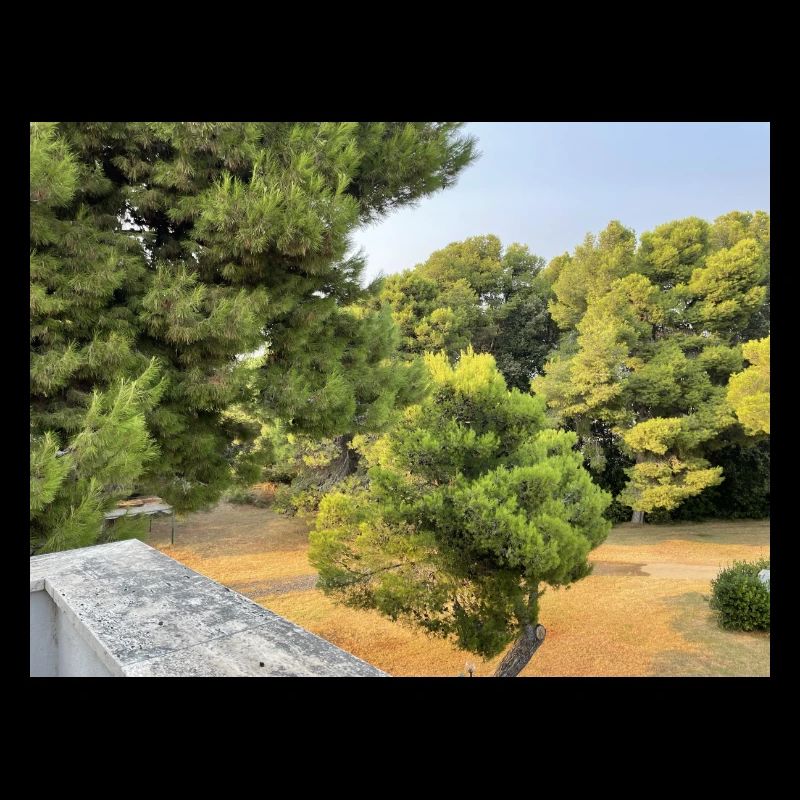 IMG 9514