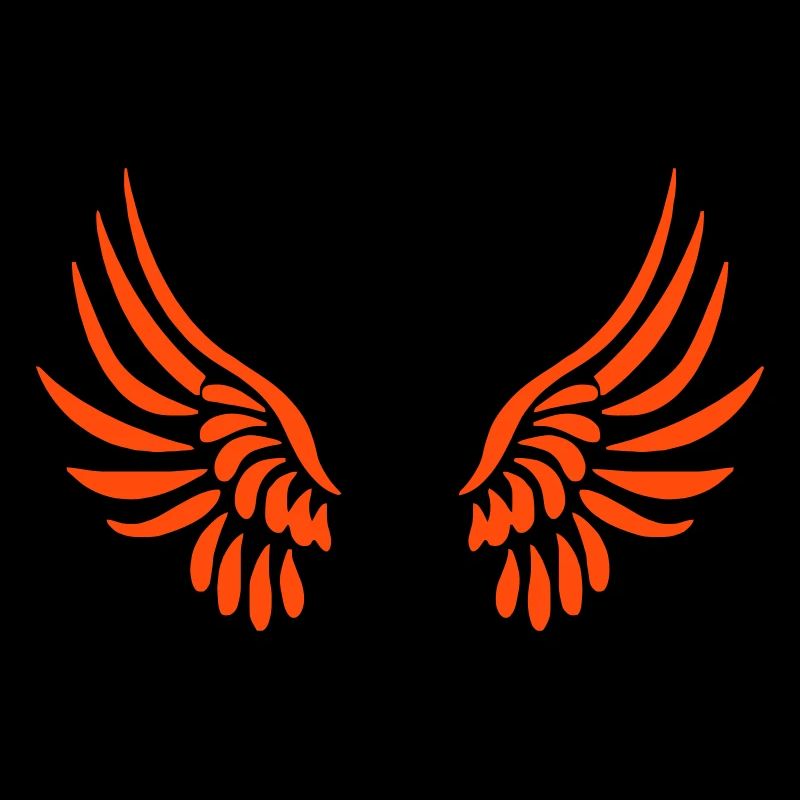 ailes d'ange