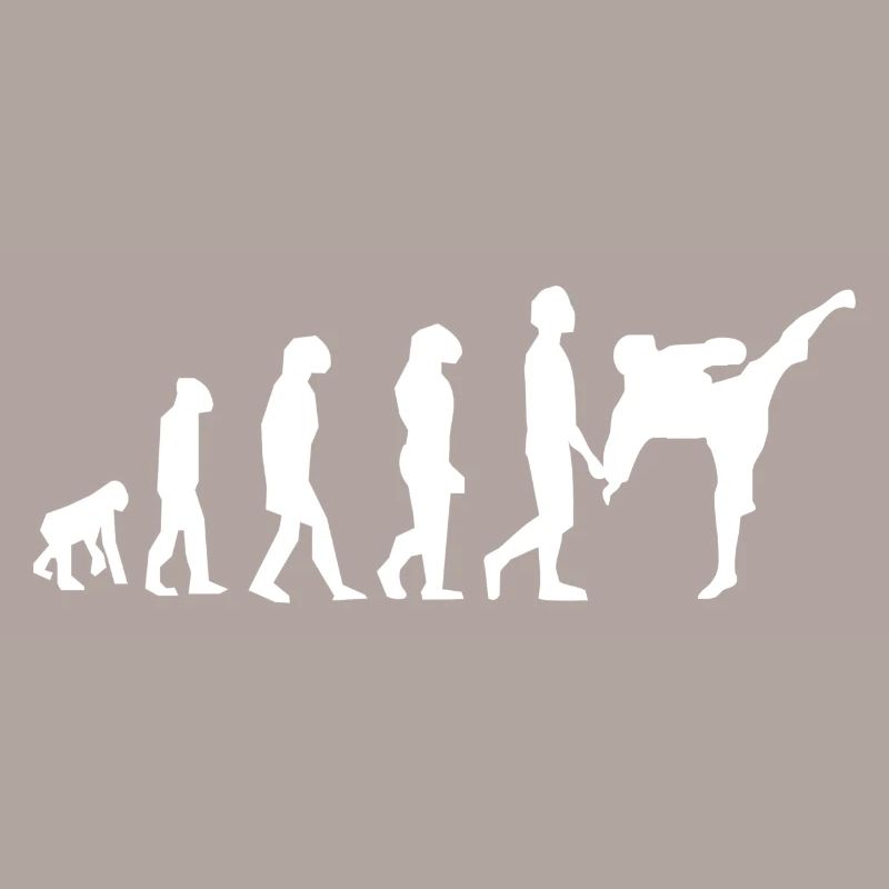 Evolution der Kampfkünste