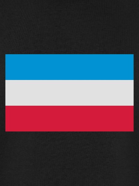 Schleswig-Holstein Fahne