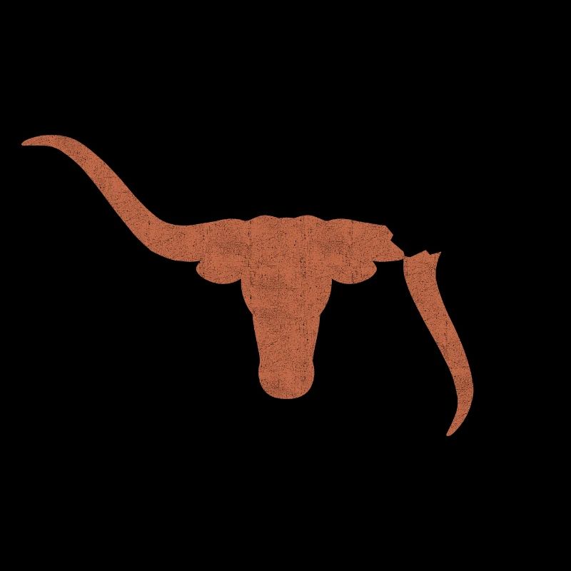 Stier
