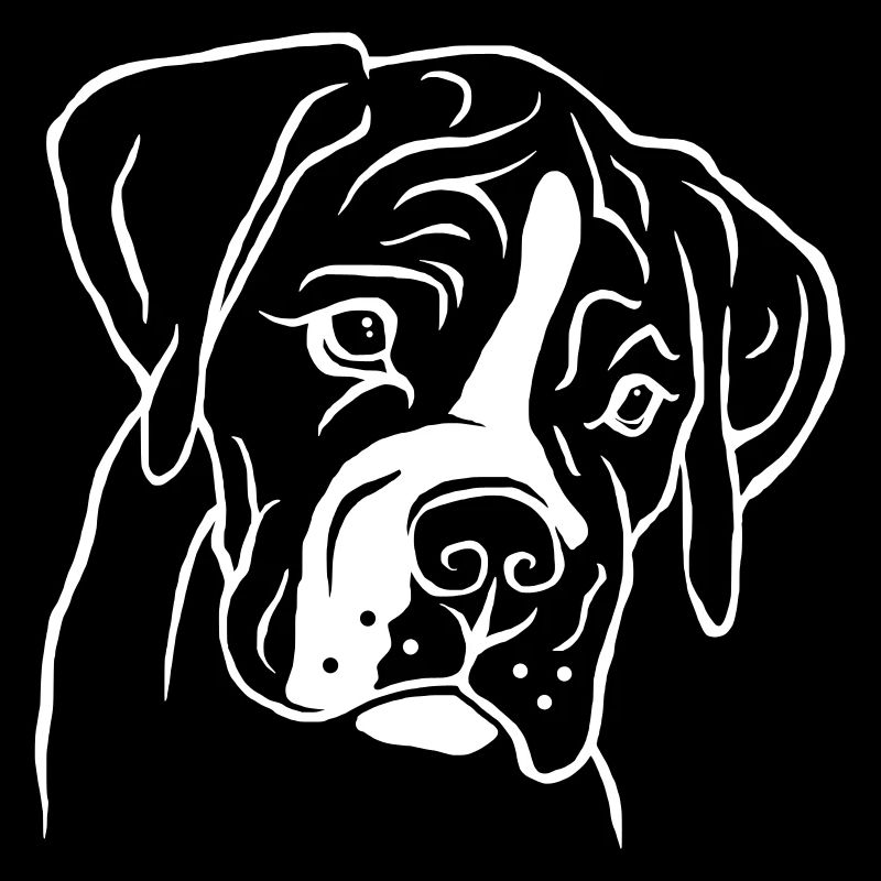 Chiot Boxer