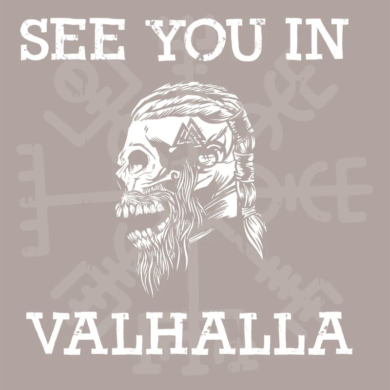Rendez-vous à Vallhalla Compass Vikings