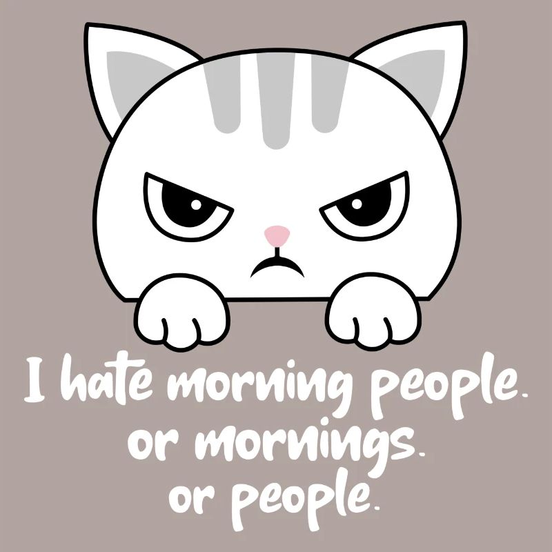 Ich hasse Morgenmenschen oder Morgen oder Menschen. Katze