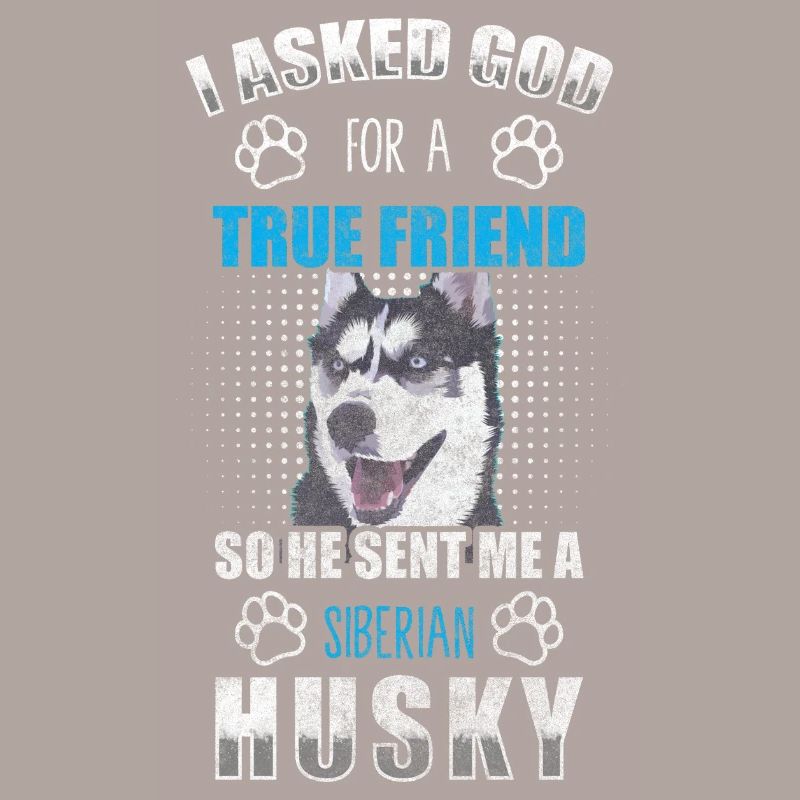 Husky Hunderasse Rassehund