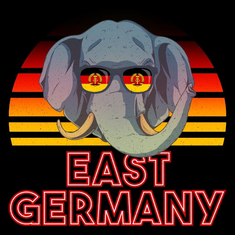 DDR