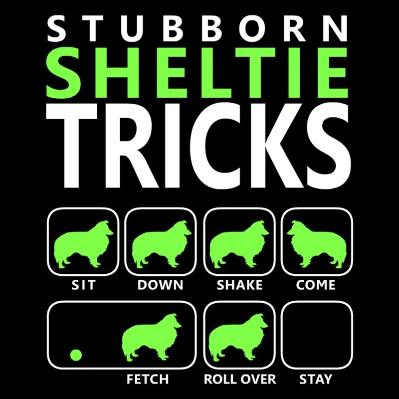 Hartnäckige Sheltie-Tricks