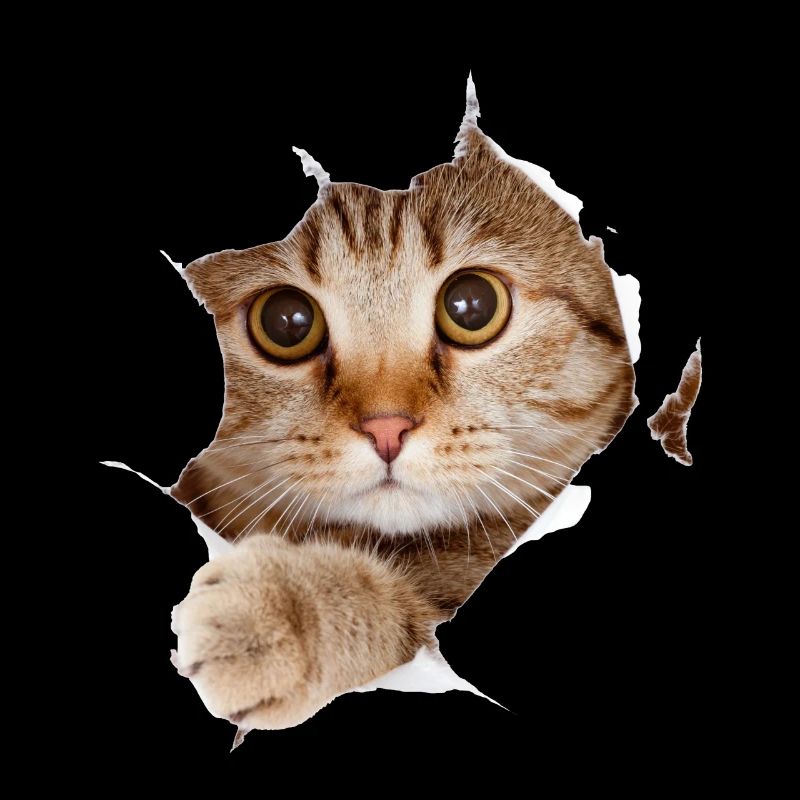 Chat design pour un amoureux du chat